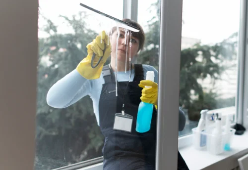 Nettoyage de vitres intérieures et extérieures à Guérard